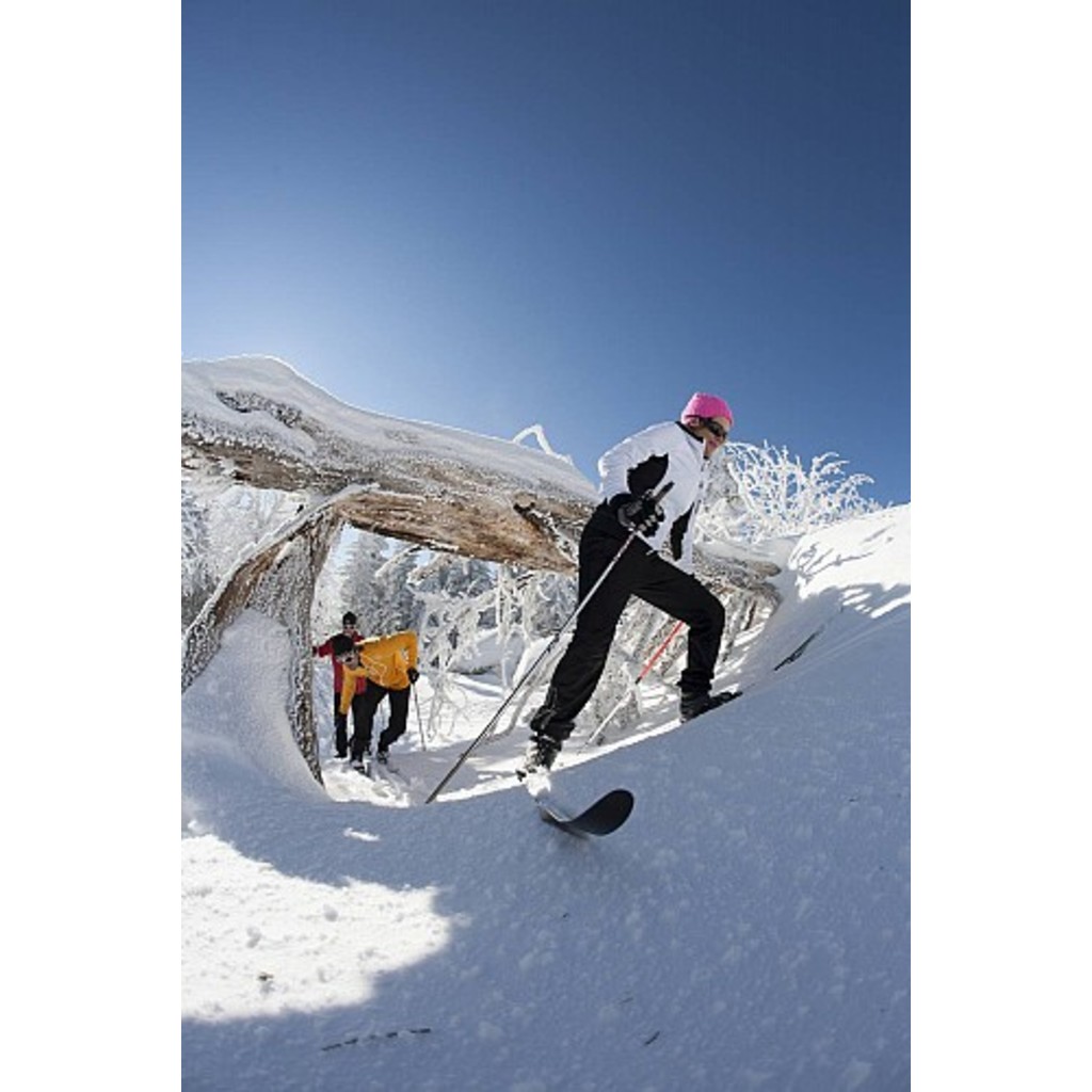 Rossignol bc 68 new arrivals