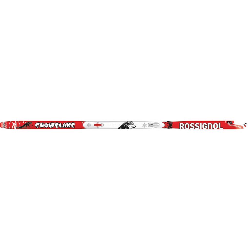 salomon prolink carbon sk2