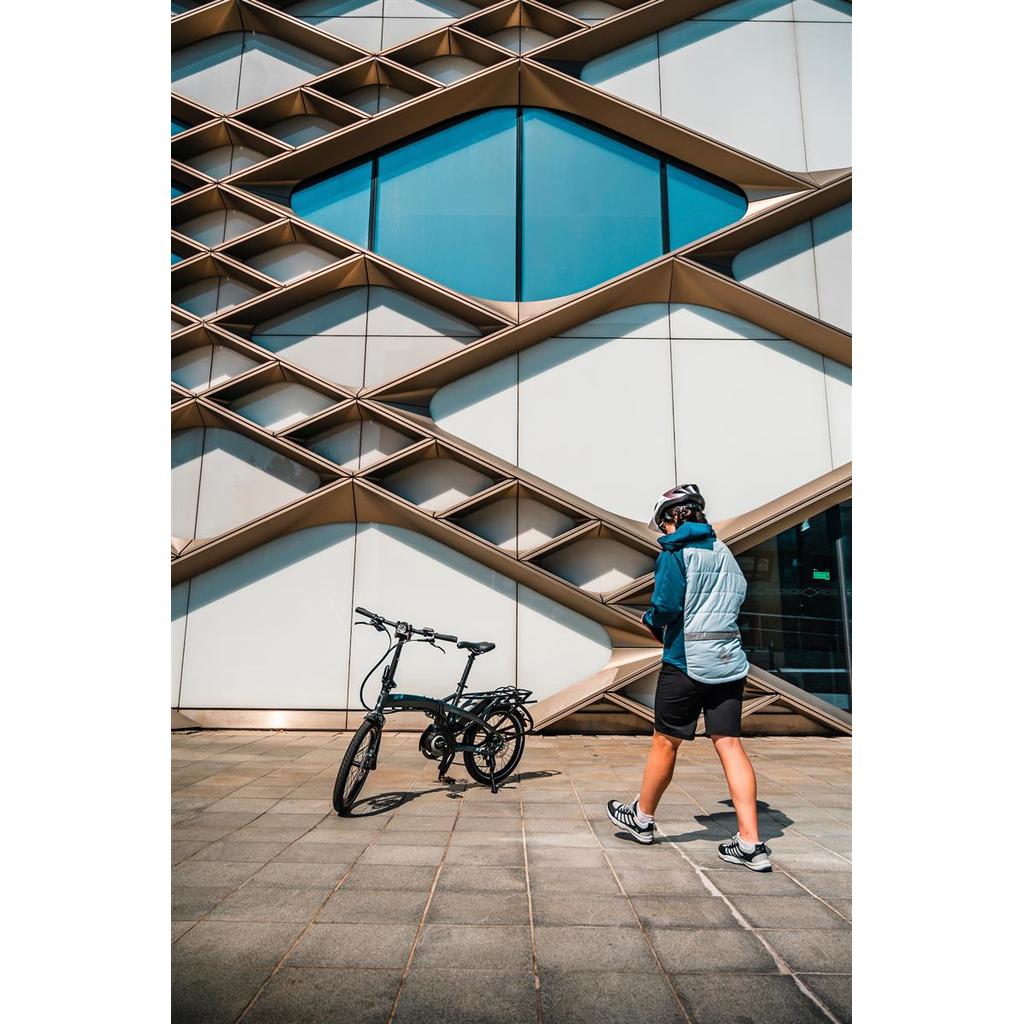Electric bikes Tern Vektron S10 Performance