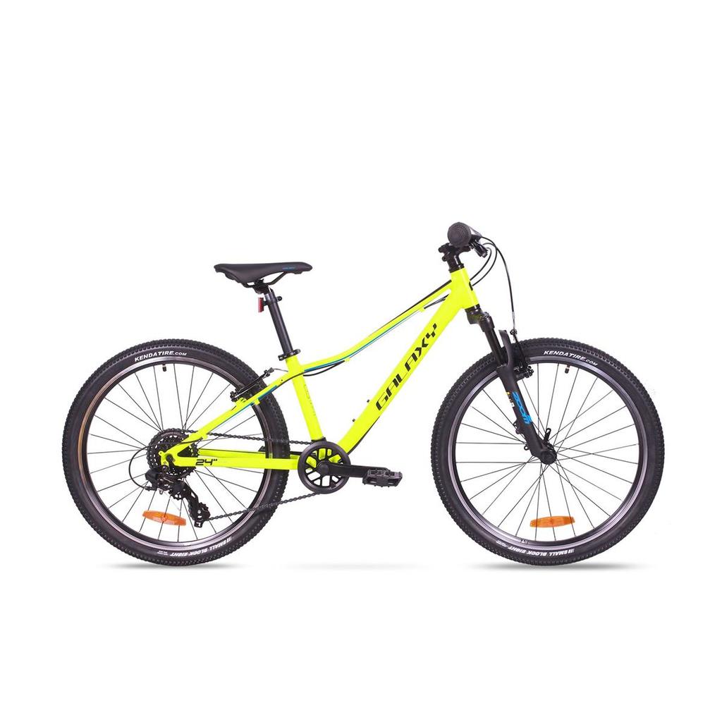 Galaxy Pavo 24