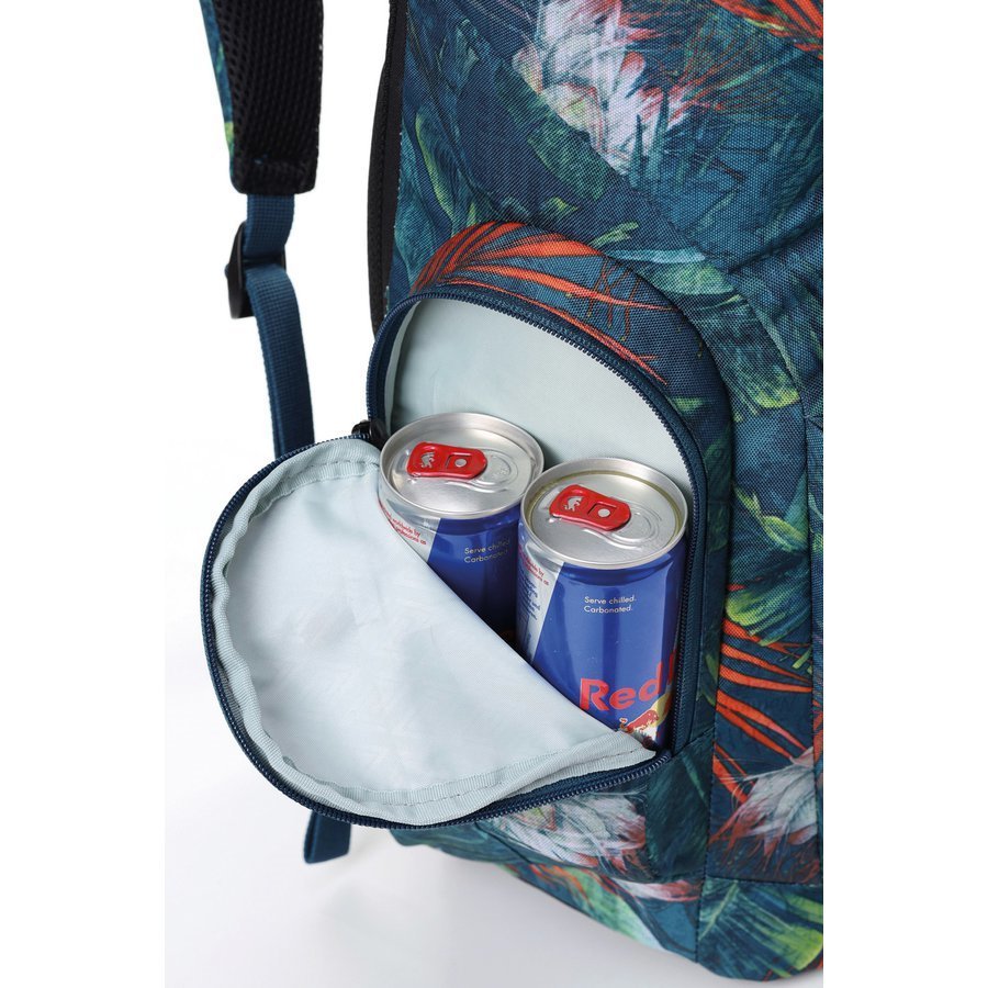 Bags and Backpacks Nitro Daypacker 