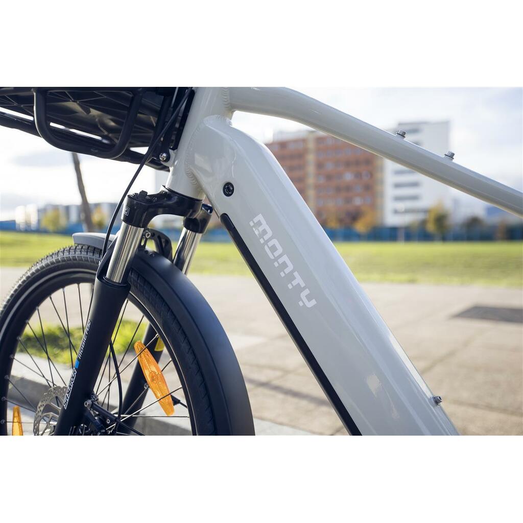 Cargo bikes MONTY V6 Strada